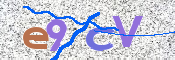 Obrazek CAPTCHA